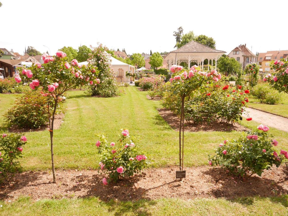 Le Jardin Des Roses Apartment Saverne Exterior photo