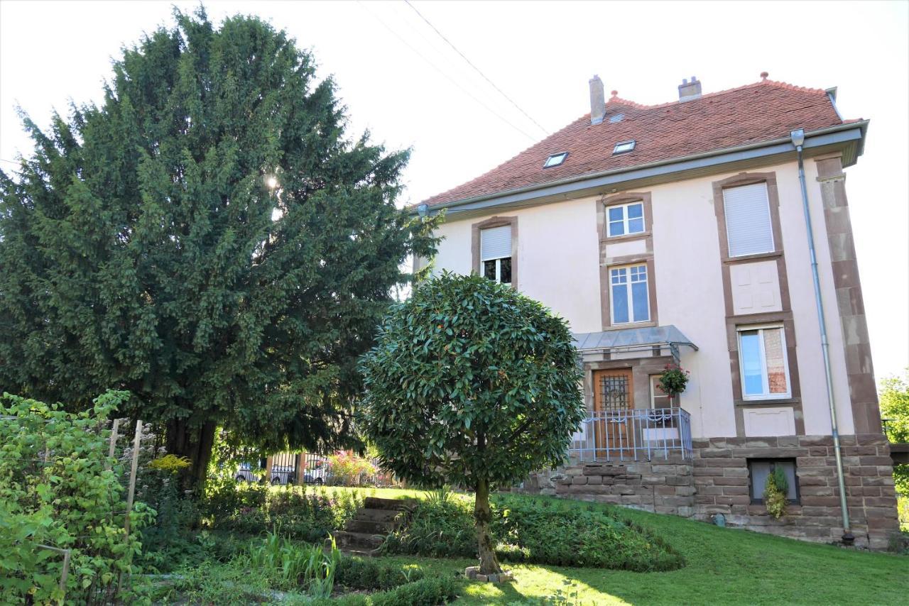 Le Jardin Des Roses Apartment Saverne Exterior photo