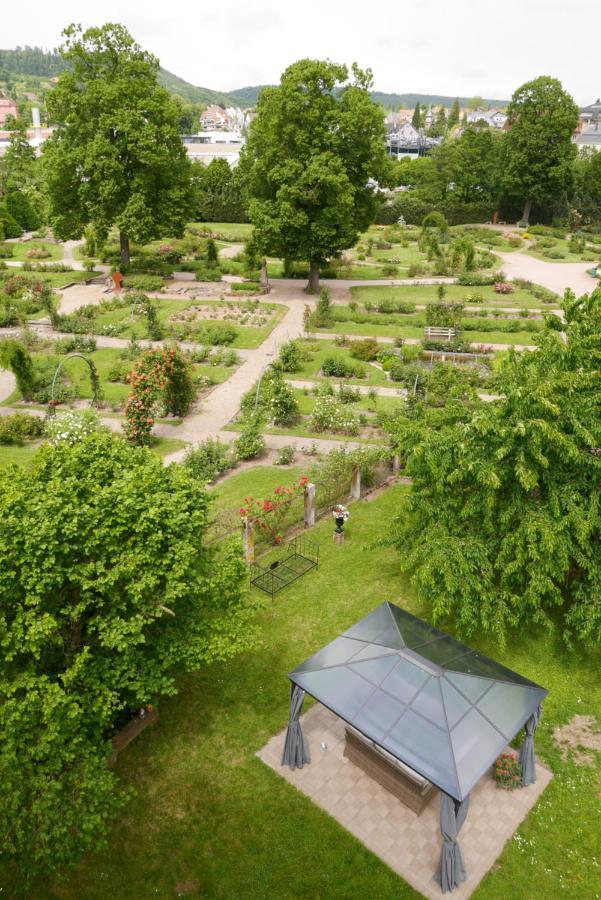 Le Jardin Des Roses Apartment Saverne Exterior photo