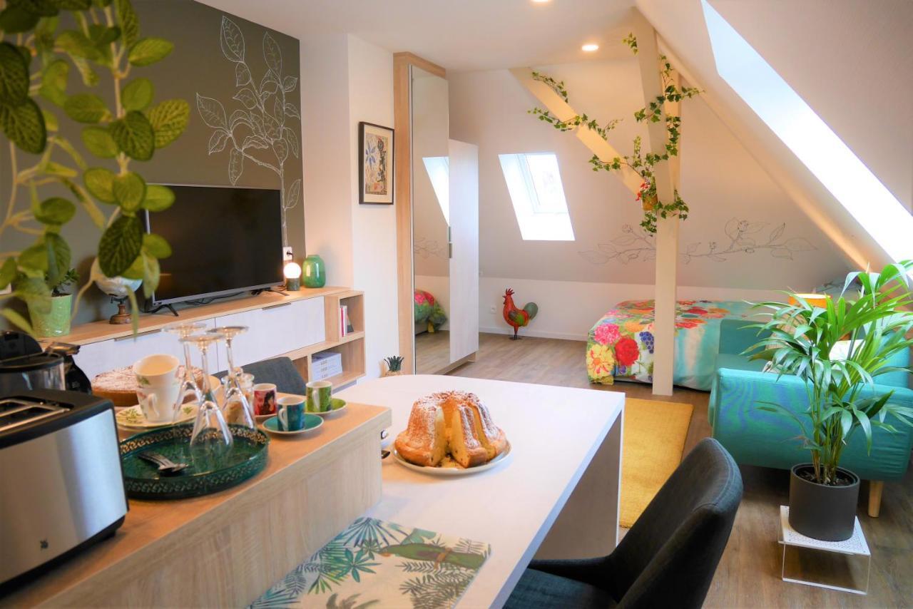 Le Jardin Des Roses Apartment Saverne Exterior photo