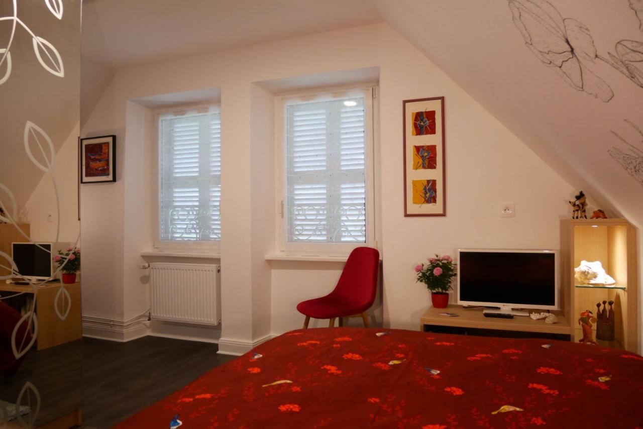 Le Jardin Des Roses Apartment Saverne Exterior photo