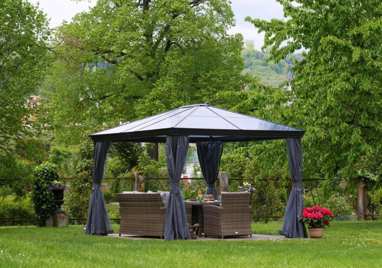 Le Jardin Des Roses Apartment Saverne Exterior photo